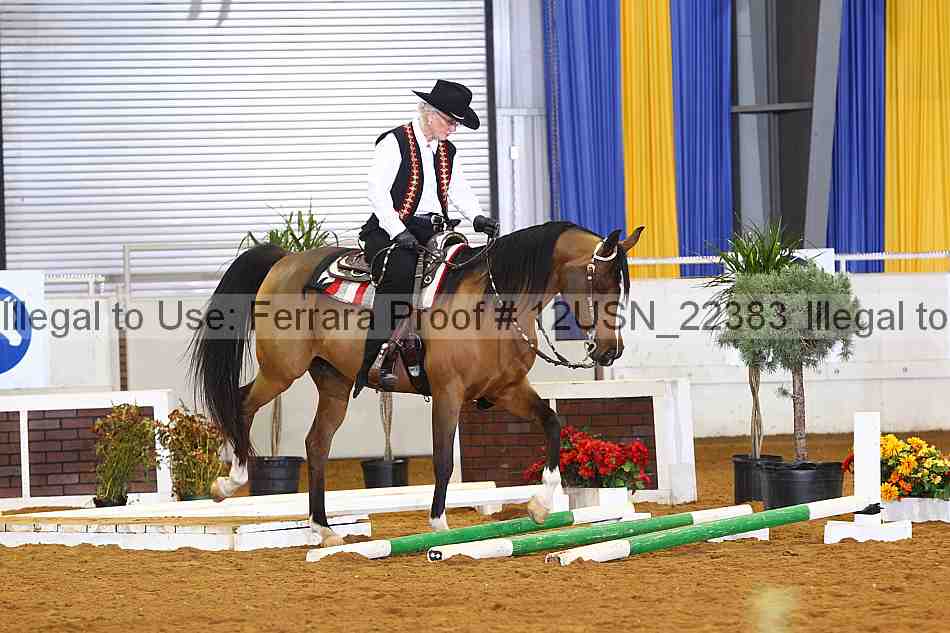 Proof 12usn_22383