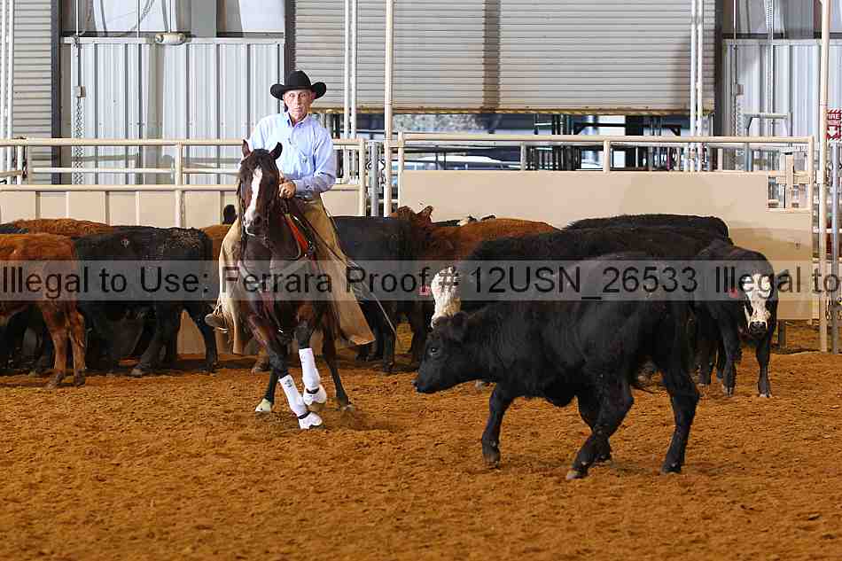 Proof 12usn_26533