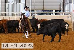 12usn_26533 proof