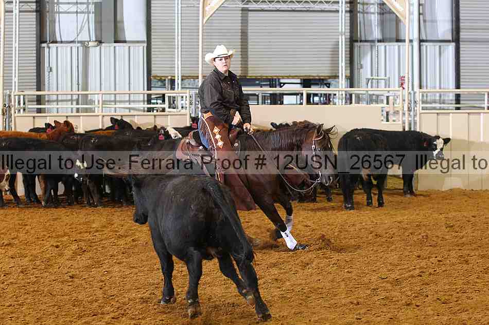 Proof 12usn_26567