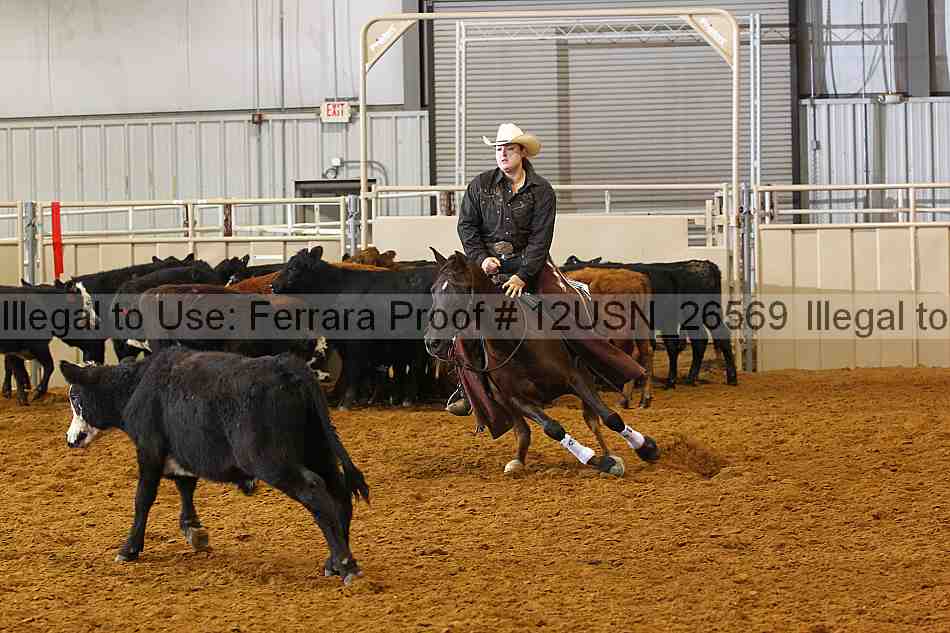 Proof 12usn_26569