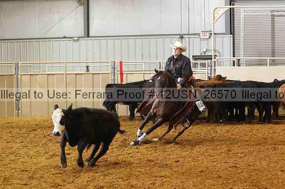 Proof 12usn_26570