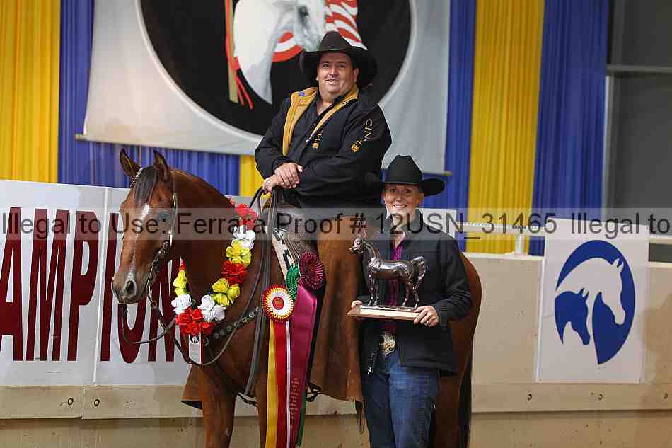 Proof 12usn_31465
