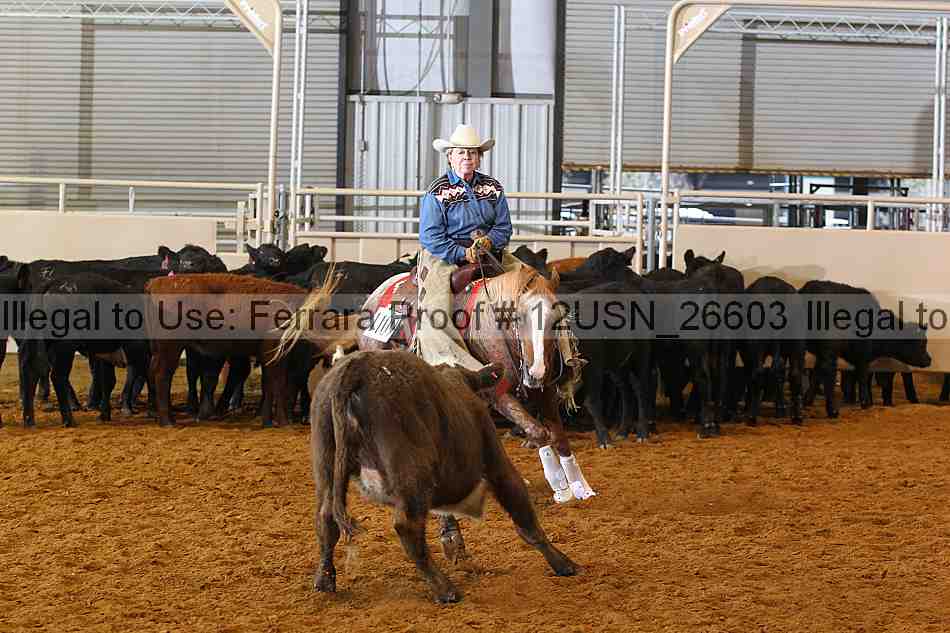 Proof 12usn_26603
