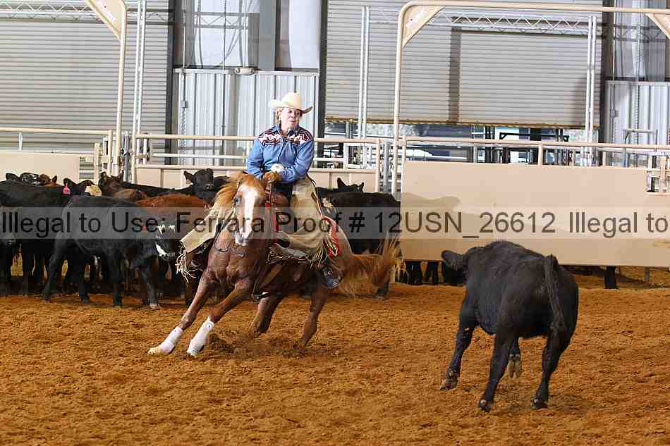 Proof 12usn_26612