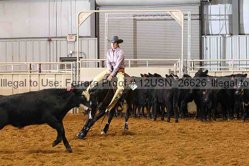 Proof 12usn_26626