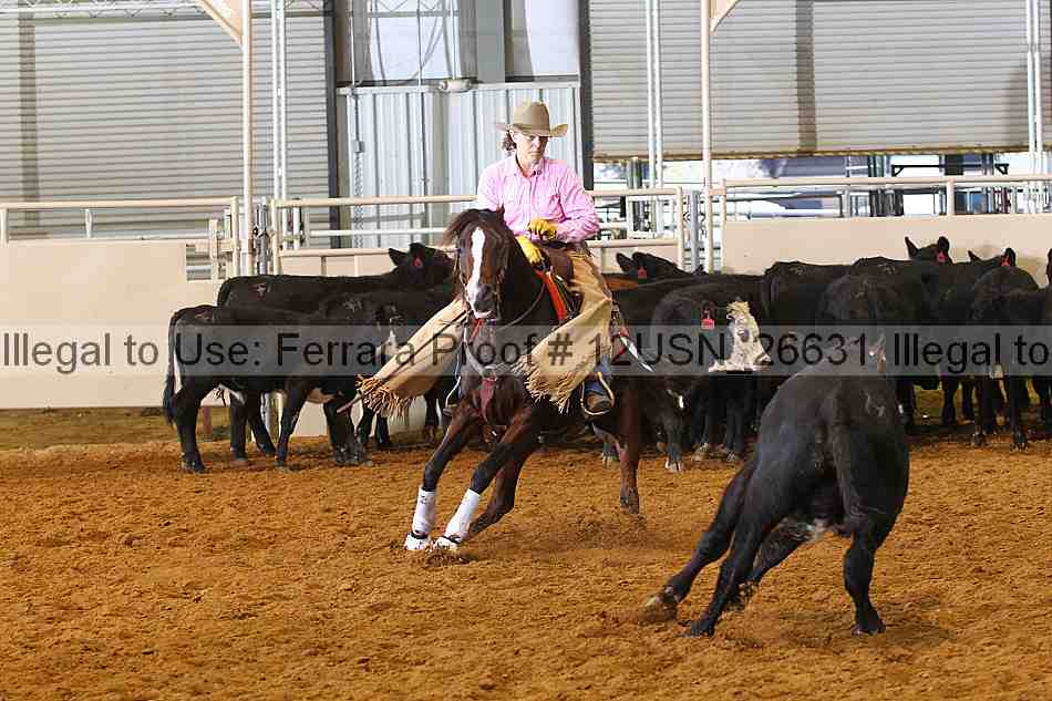 Proof 12usn_26631