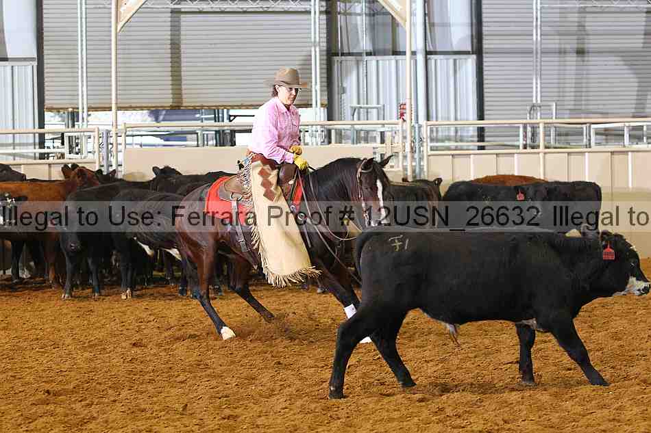 Proof 12usn_26632
