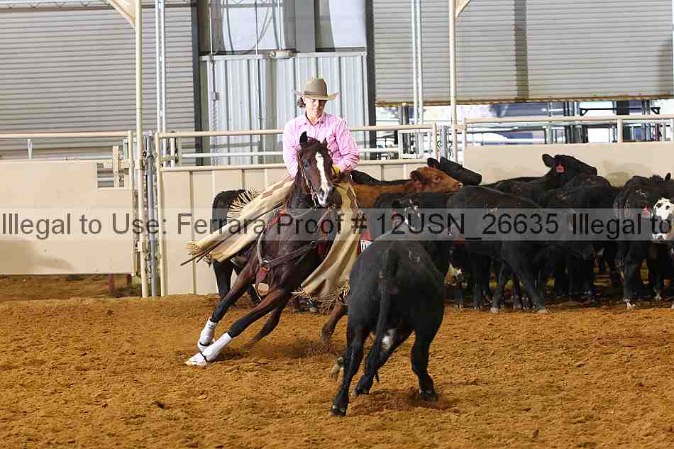 Proof 12usn_26635