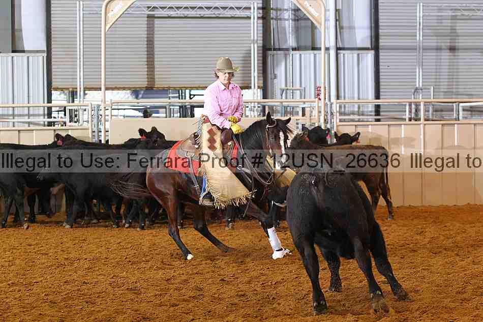 Proof 12usn_26636
