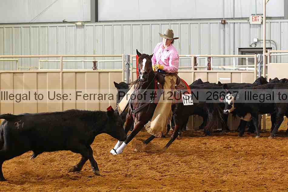 Proof 12usn_26637
