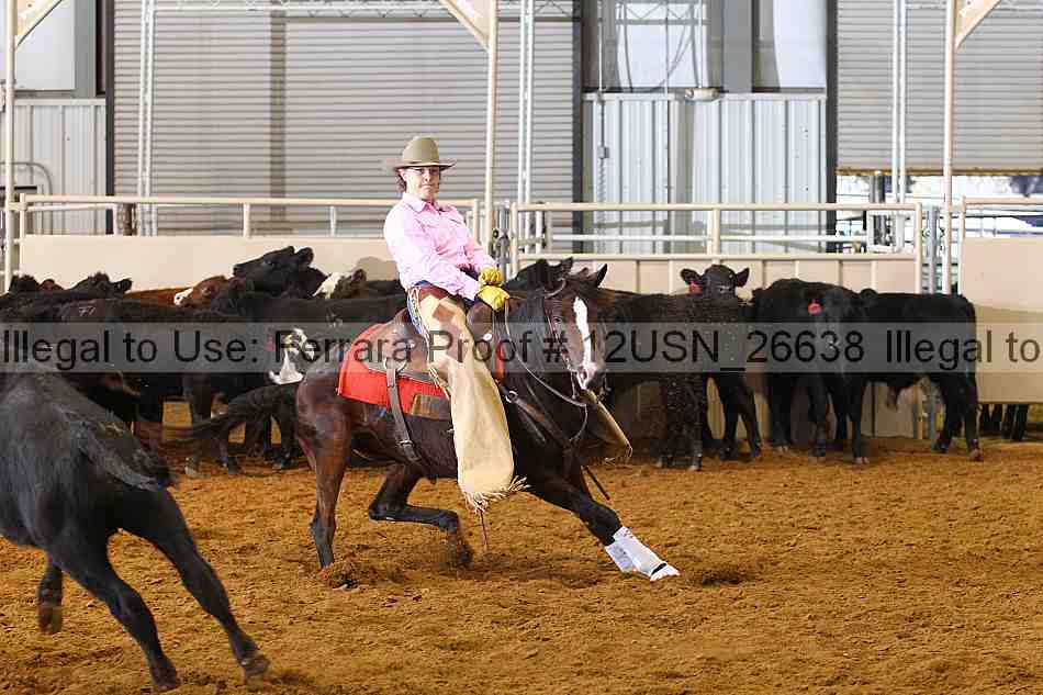 Proof 12usn_26638