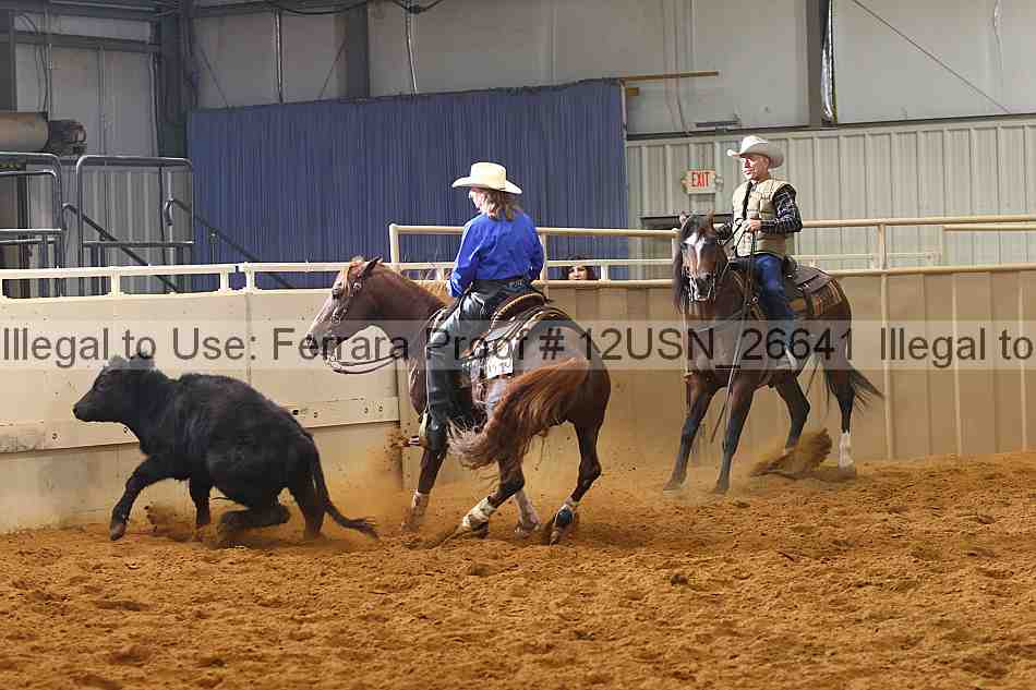 Proof 12usn_26641