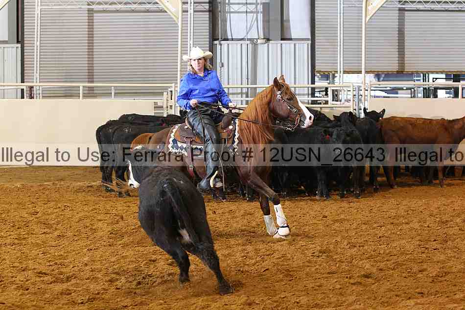 Proof 12usn_26643