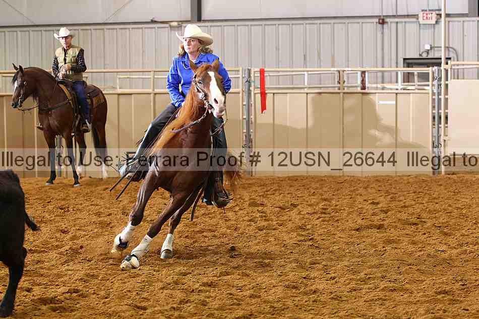 Proof 12usn_26644