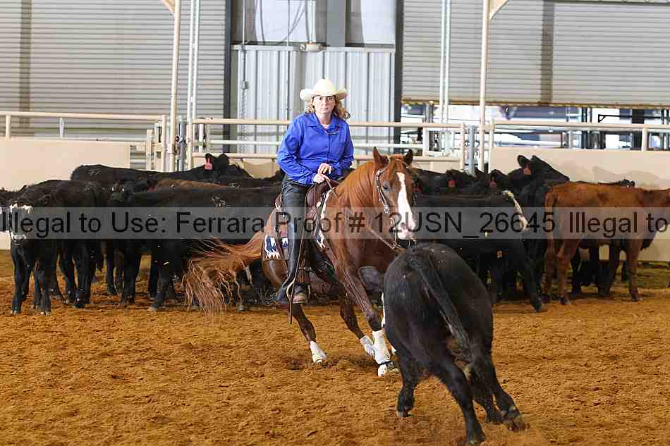 Proof 12usn_26645