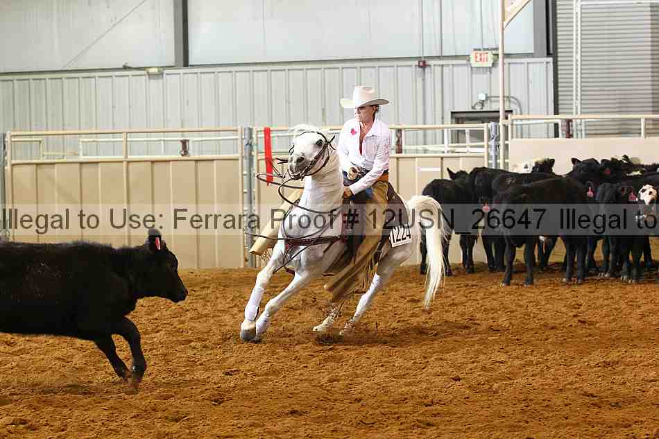 Proof 12usn_26647
