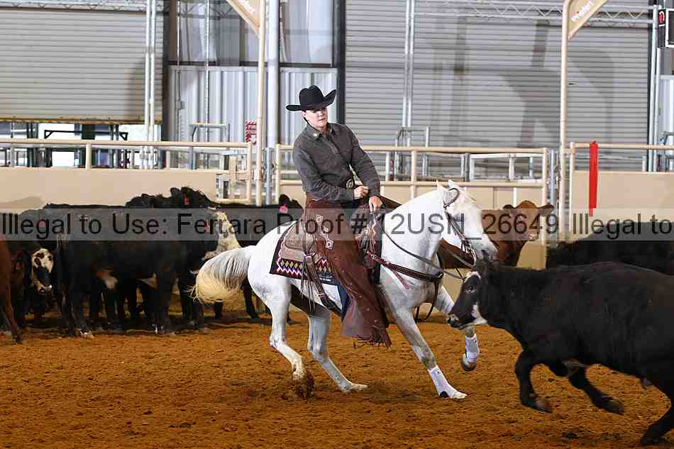 Proof 12usn_26649