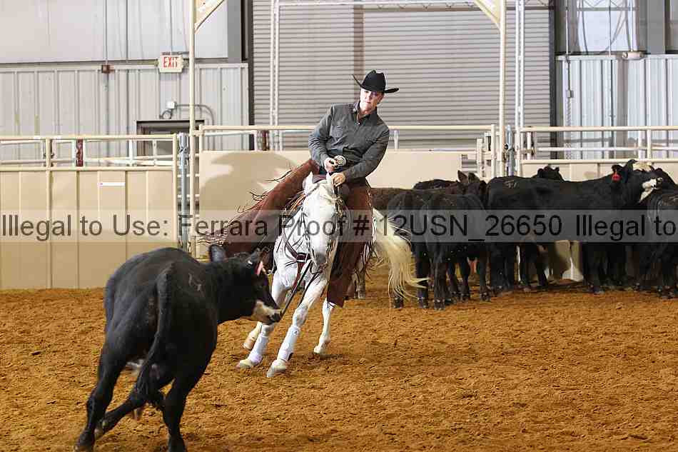 Proof 12usn_26650