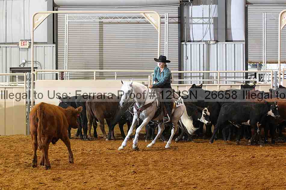 Proof 12usn_26658
