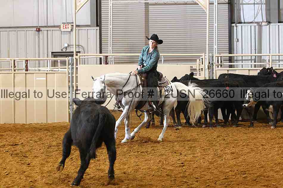 Proof 12usn_26660