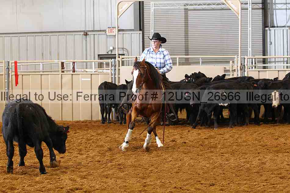 Proof 12usn_26666
