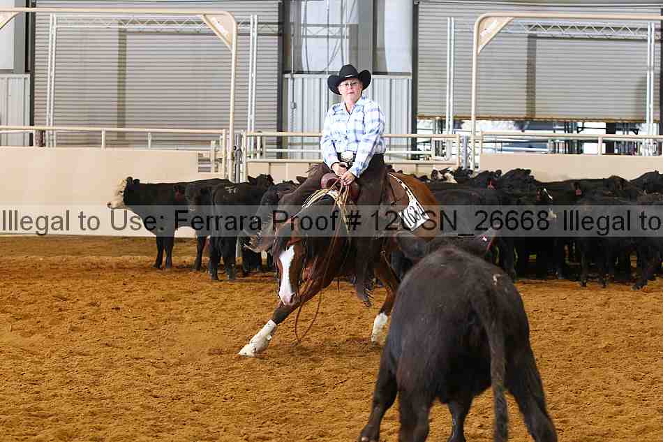Proof 12usn_26668
