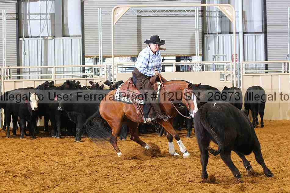 Proof 12usn_26673