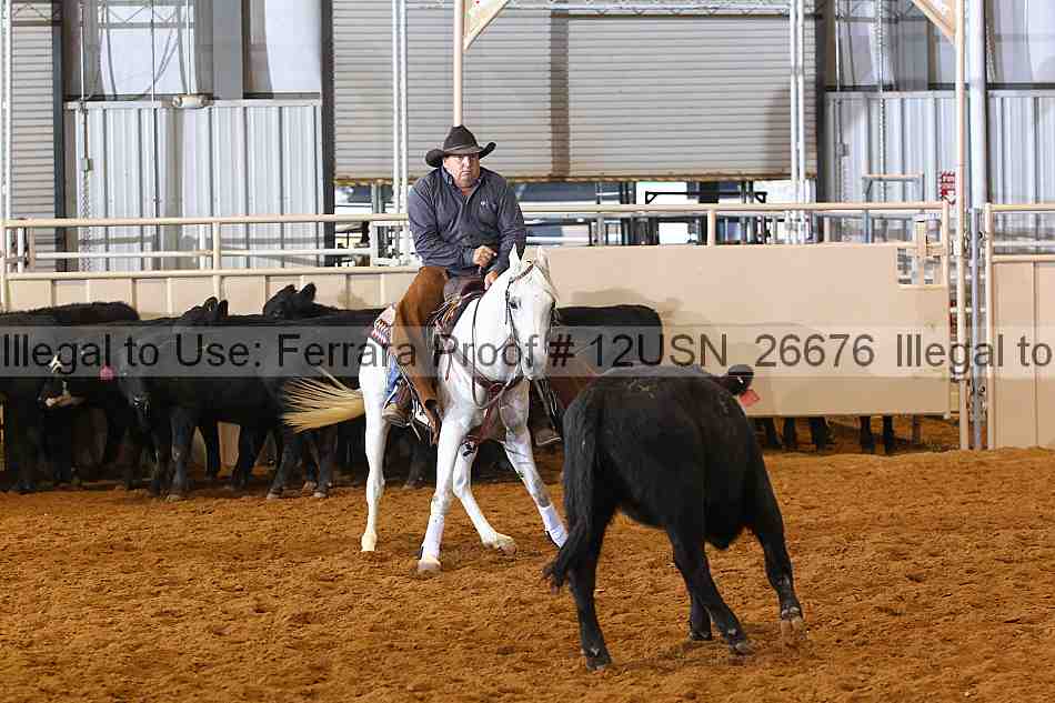 Proof 12usn_26676