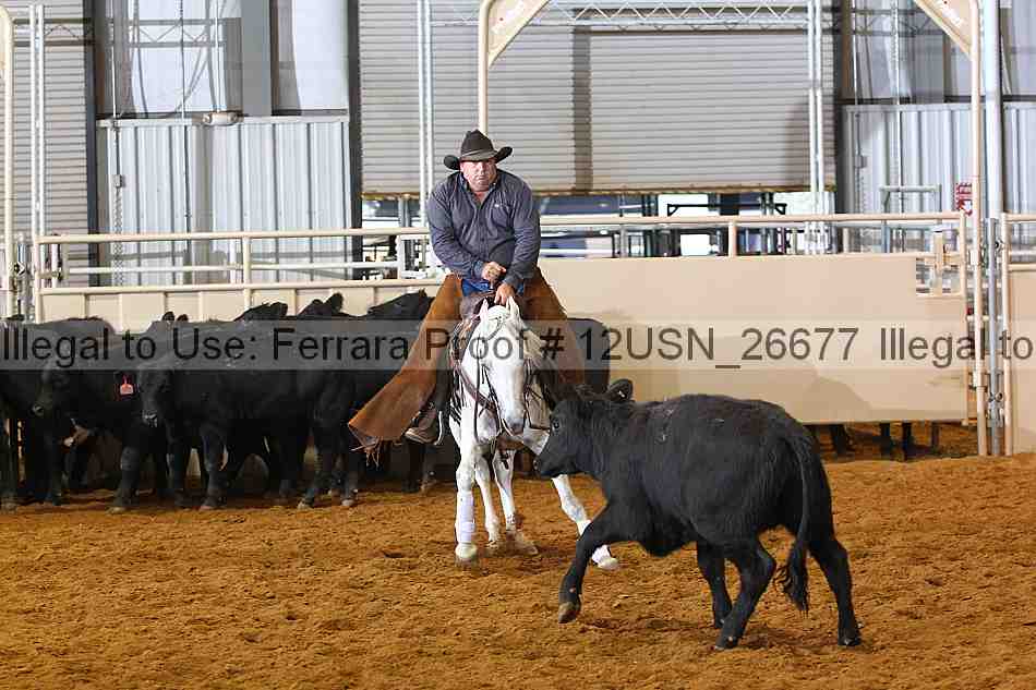 Proof 12usn_26677