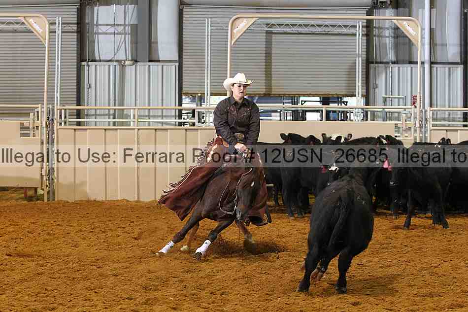 Proof 12usn_26685