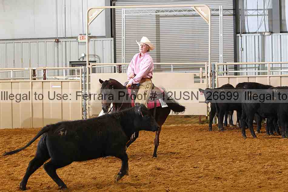 Proof 12usn_26699