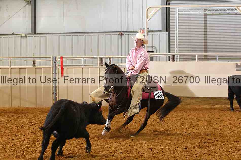 Proof 12usn_26700