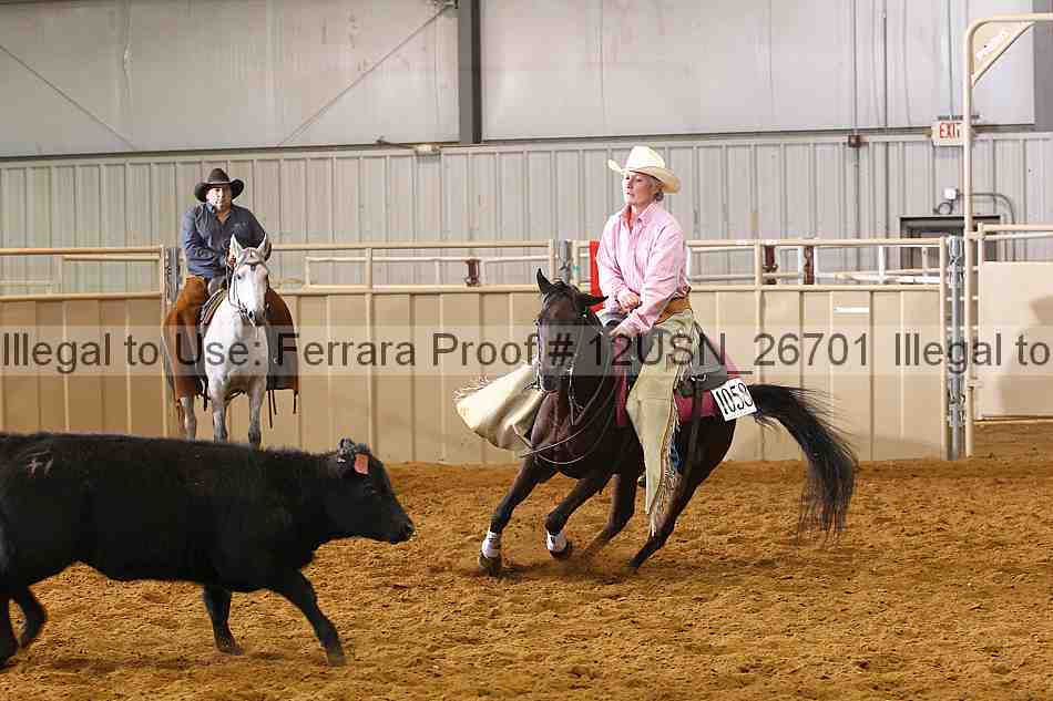 Proof 12usn_26701