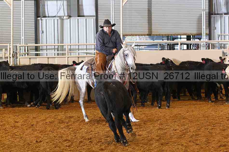 Proof 12usn_26712