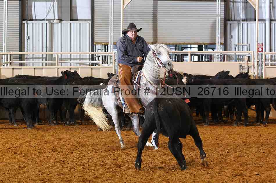 Proof 12usn_26716