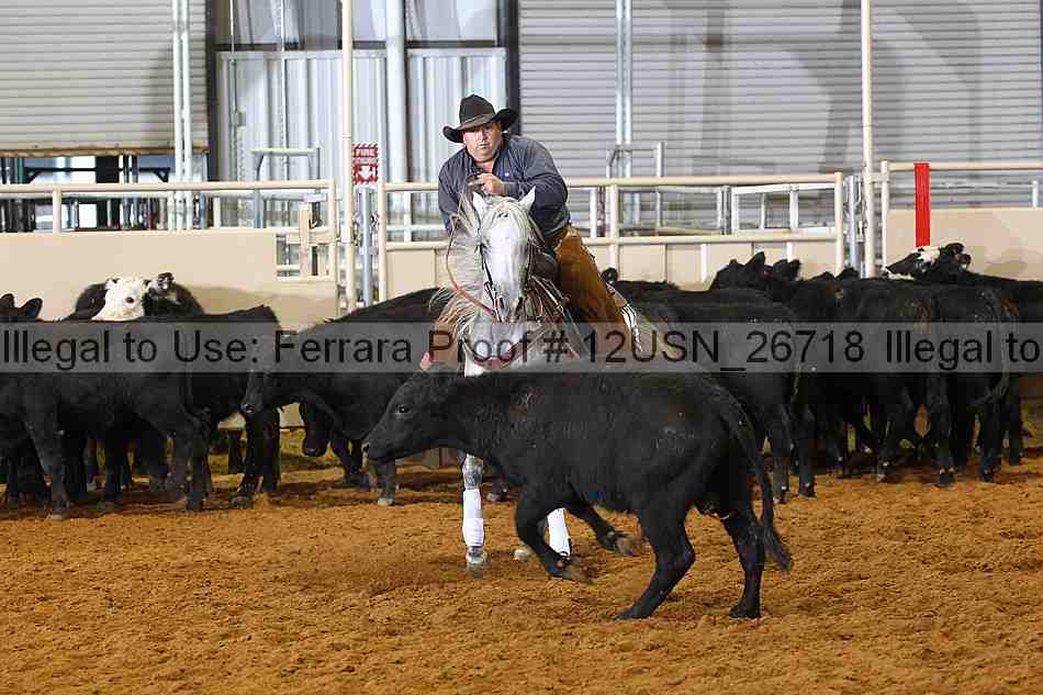 Proof 12usn_26718