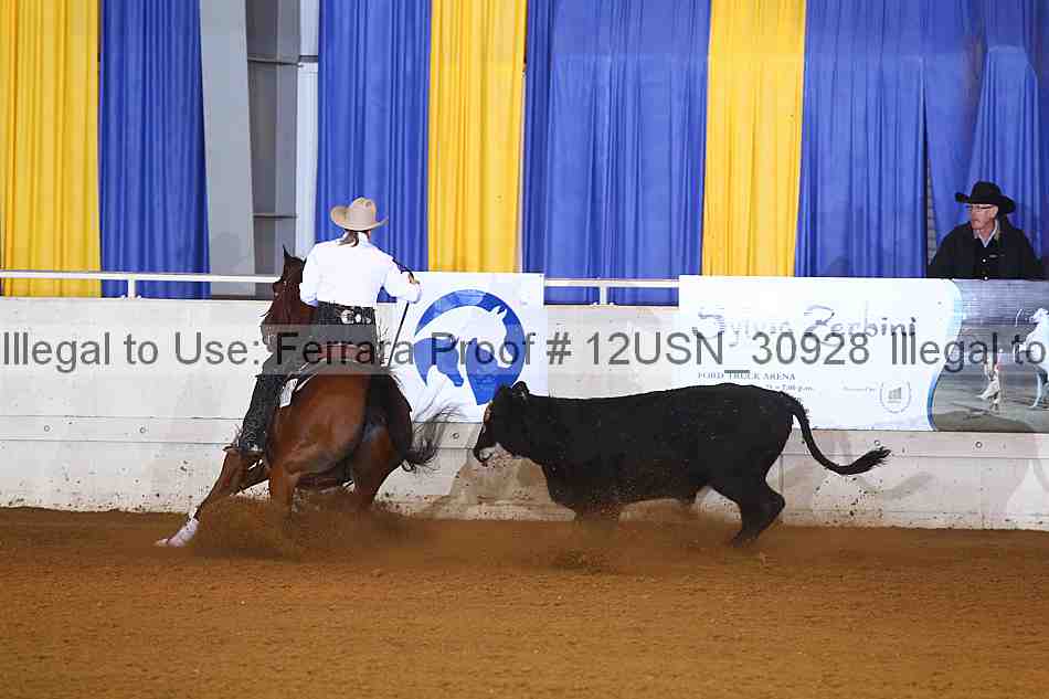 Proof 12usn_30928