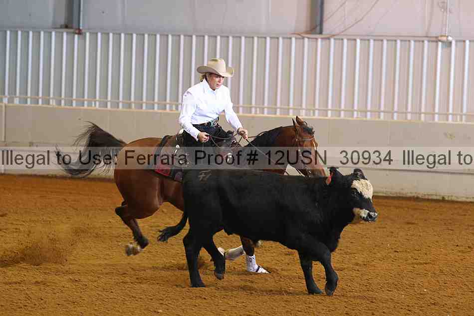 Proof 12usn_30934