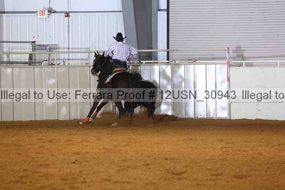 Proof 12usn_30943