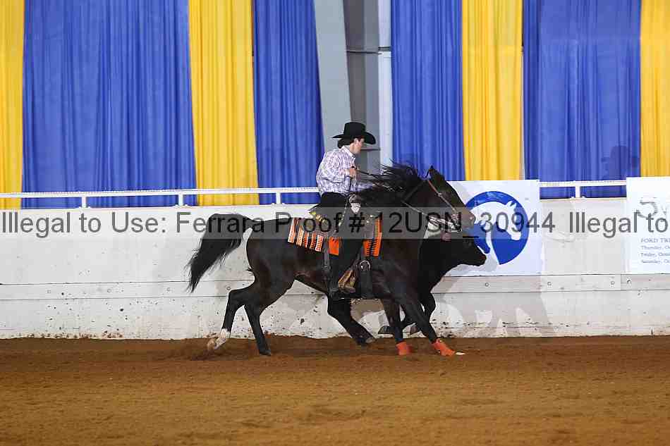 Proof 12usn_30944