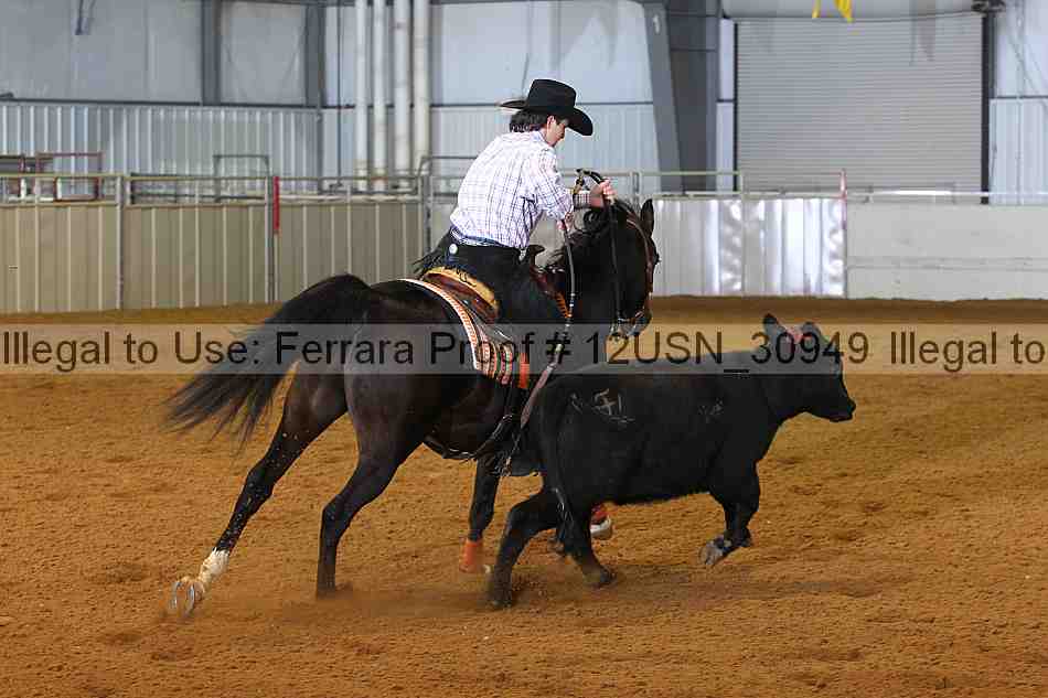 Proof 12usn_30949