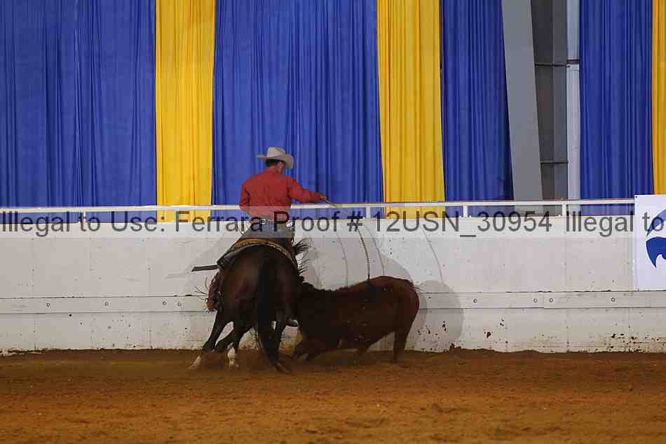 Proof 12usn_30954