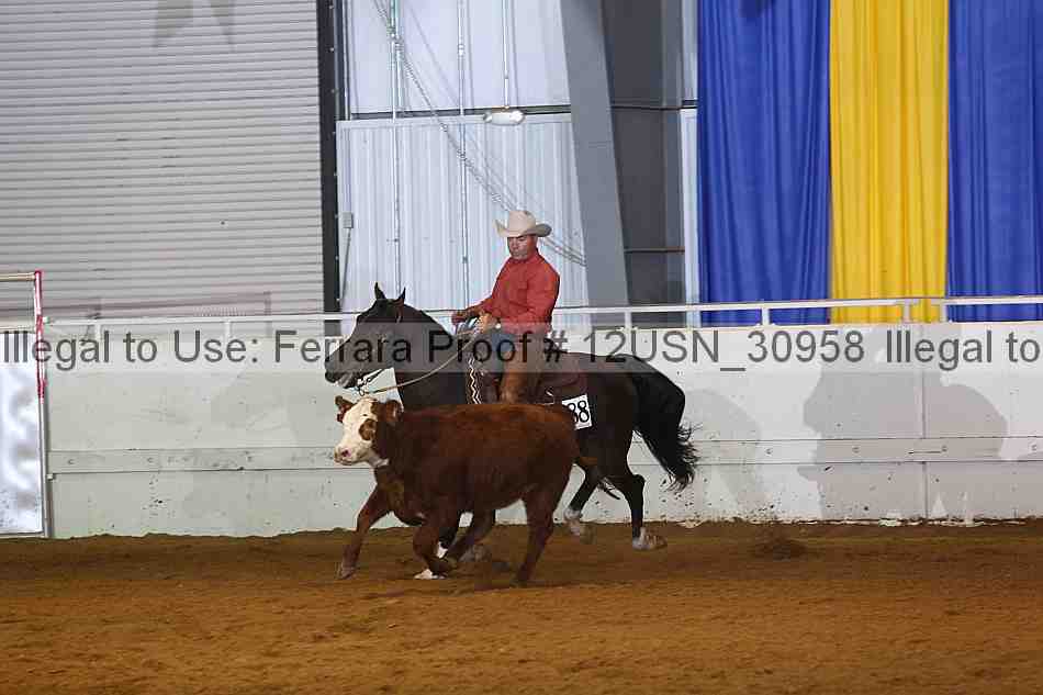 Proof 12usn_30958