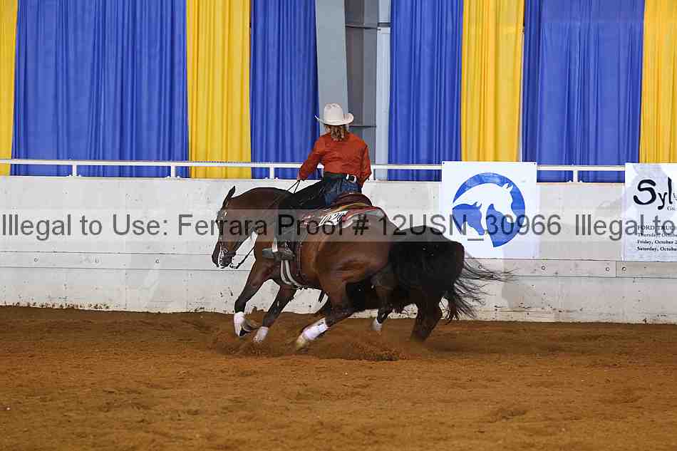 Proof 12usn_30966