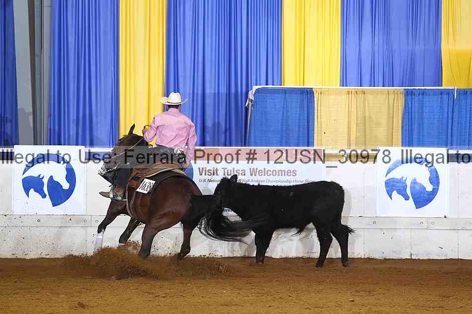 Proof 12usn_30978