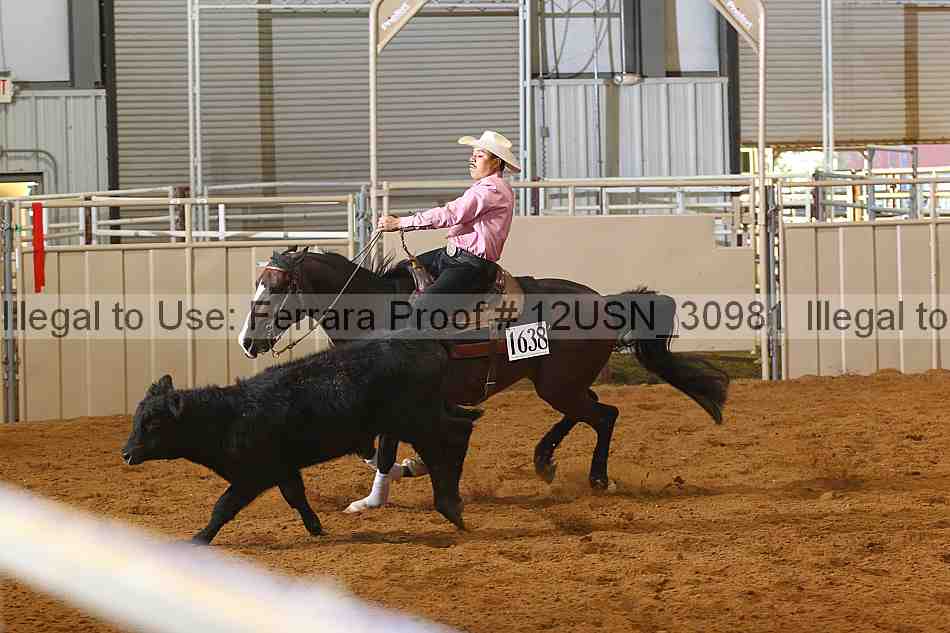 Proof 12usn_30981