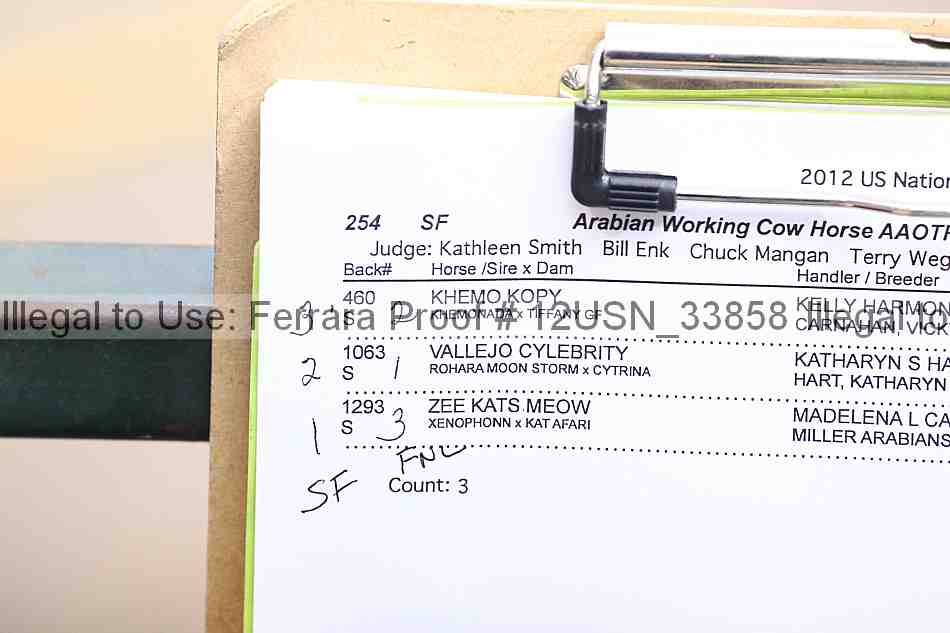 Proof 12usn_33858