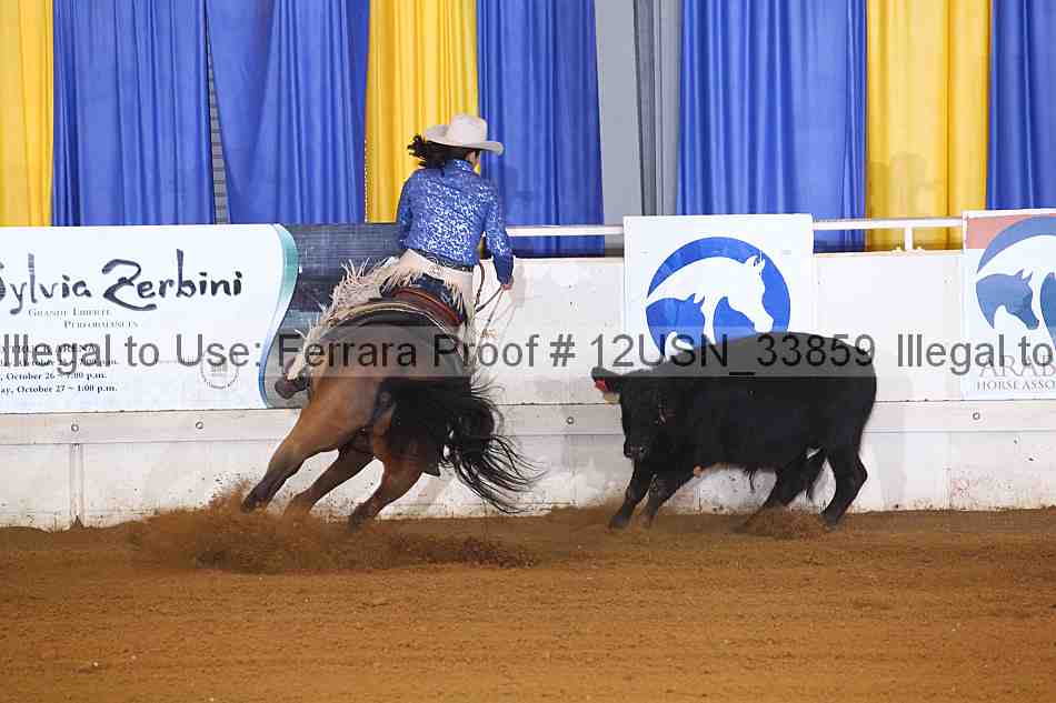 Proof 12usn_33859