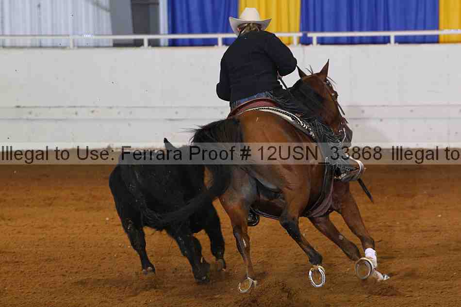Proof 12usn_33868